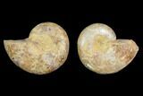 3.4" Cut & Polished Agatized Ammonite Fossil (Pair)- Jurassic - #131664-1